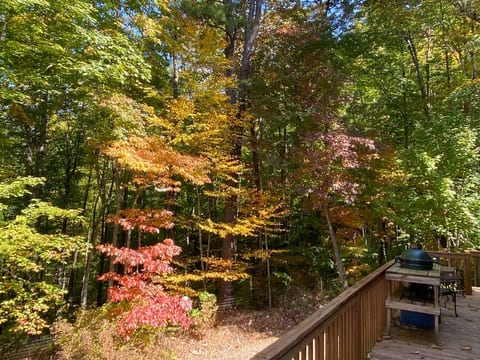 Early October....fall colors starting to show some life!