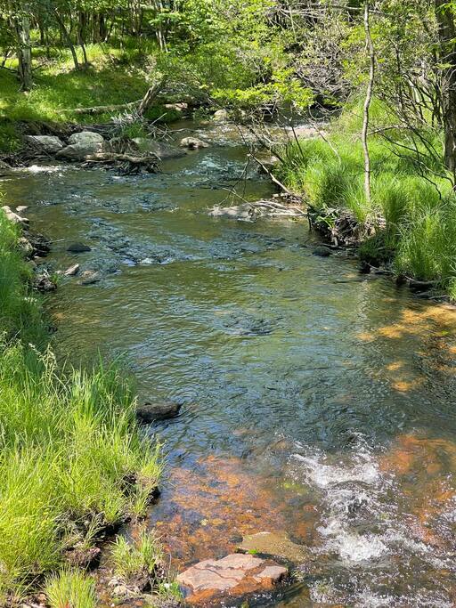 A stream that runs through our community - Spacious Cabin with Private Covered Hot Tub - Albrightsville