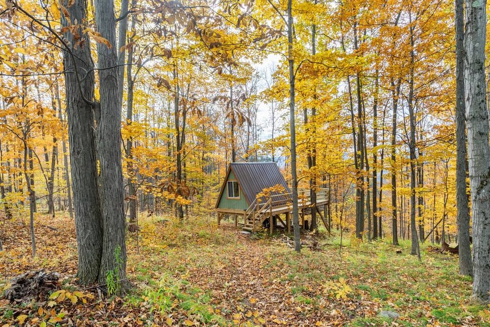 The A-frame nestled in our thick forest.