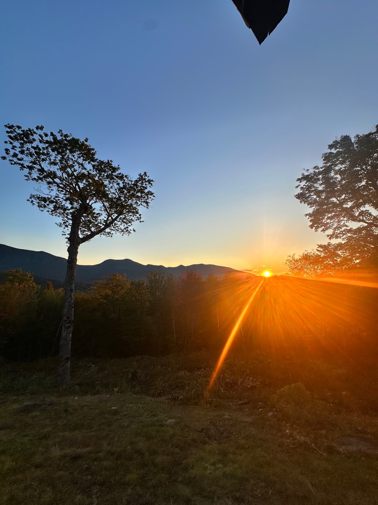 Leaf Peepers! Unite here!  - Lincoln