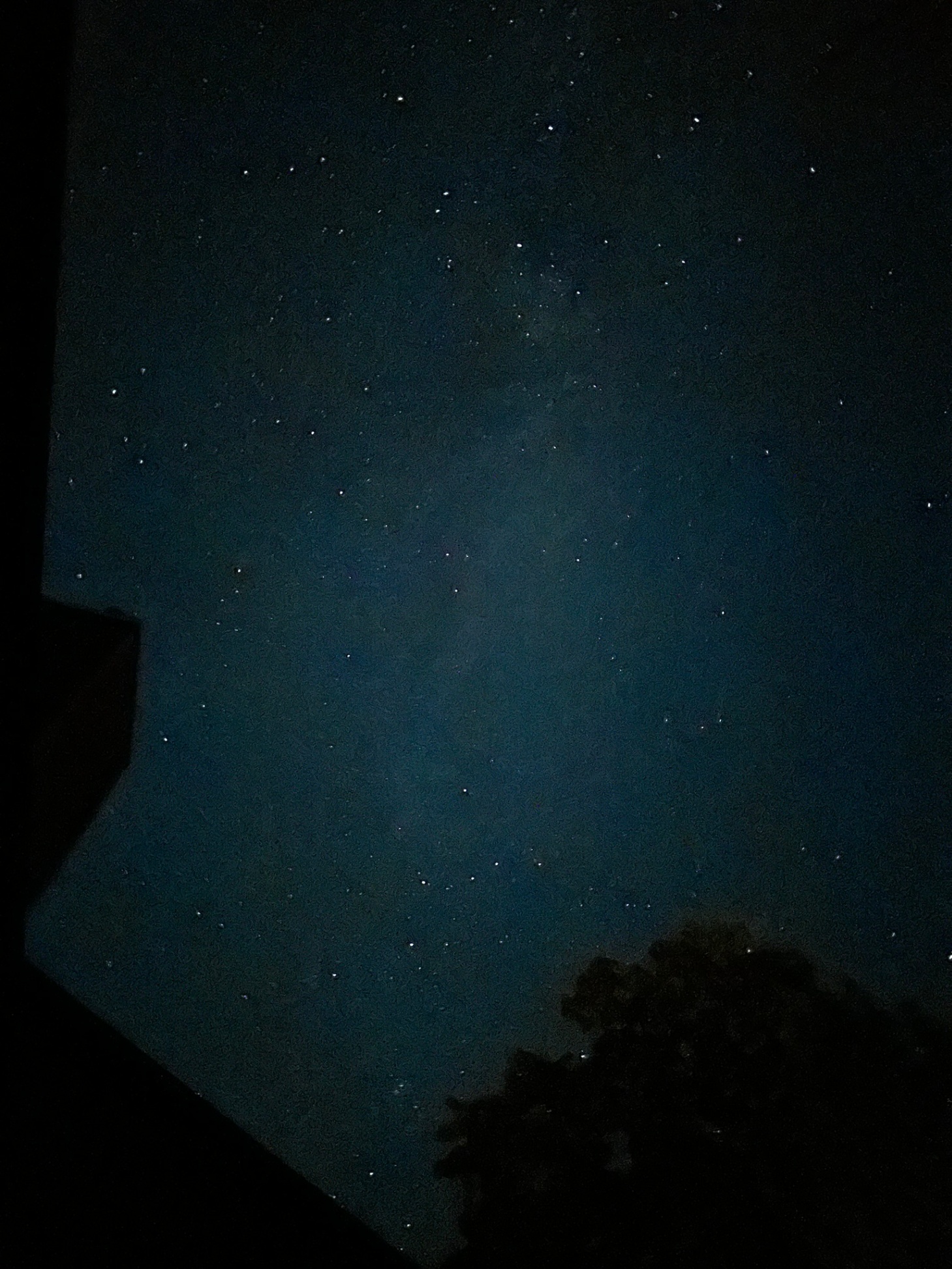 Looking into the clear night sky from the deck. 