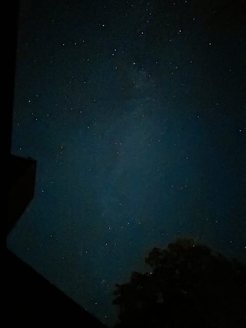 Looking into the clear night sky from the deck. 