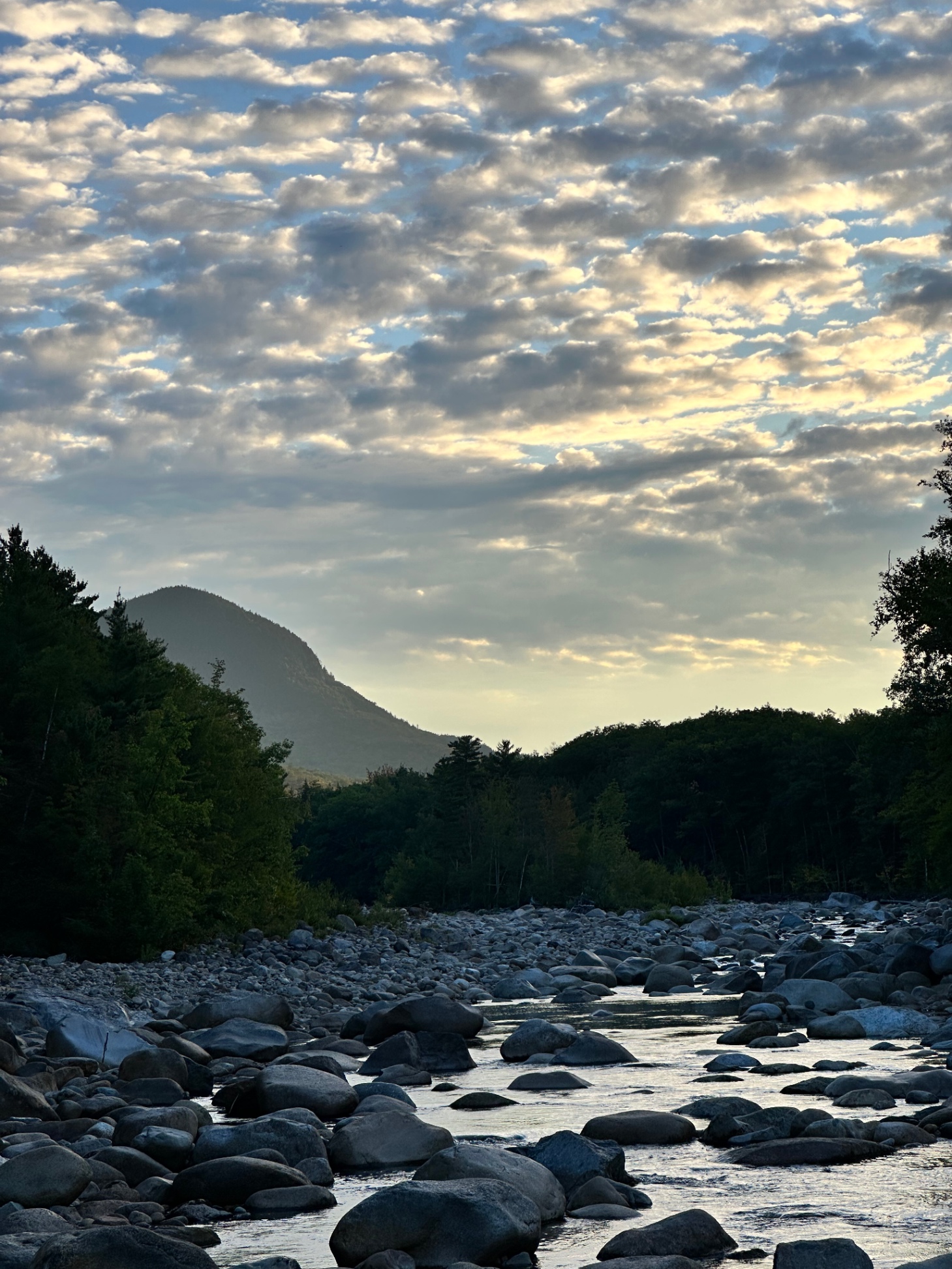View of Potash Knob? A shoulder of Whaleback Mountain, from swim hole behind home