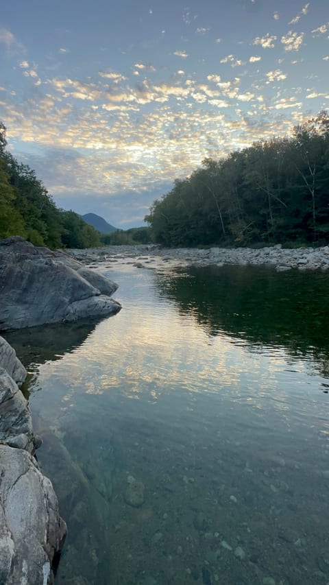 Swim hole in back of home with Potash Knob in the distance. I dream of this water and view all winter long. 