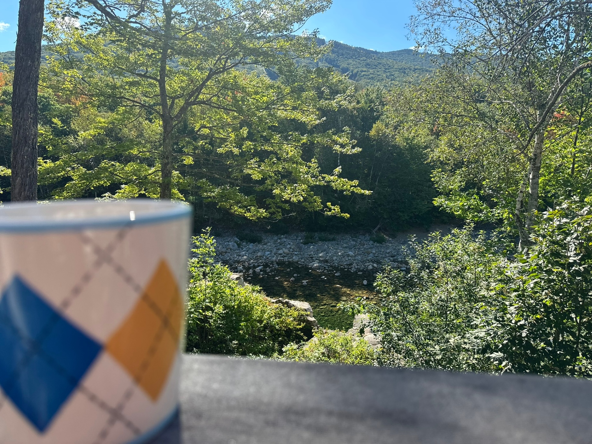 Deck overlooking the river and mountain