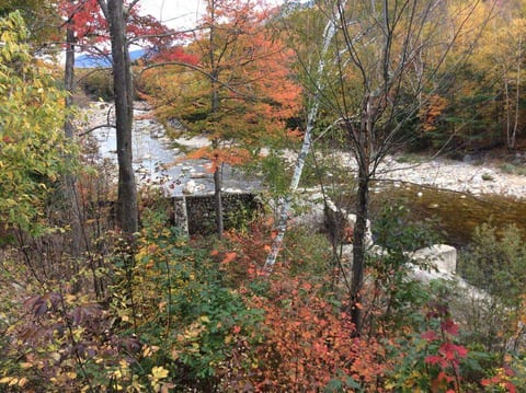 Late fall looking up the river