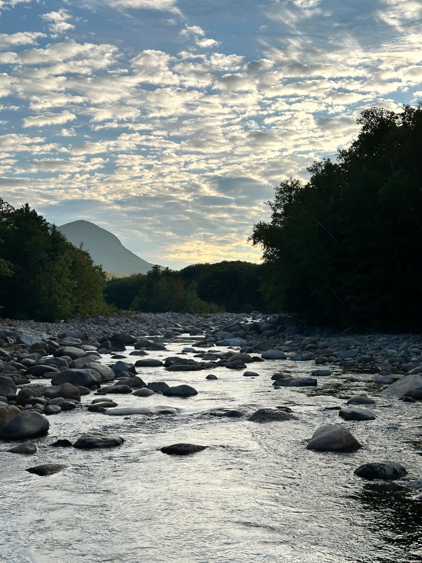 View of Potash Knob, a shoulder of Whaleback Mountain, from swim hole in back of home.