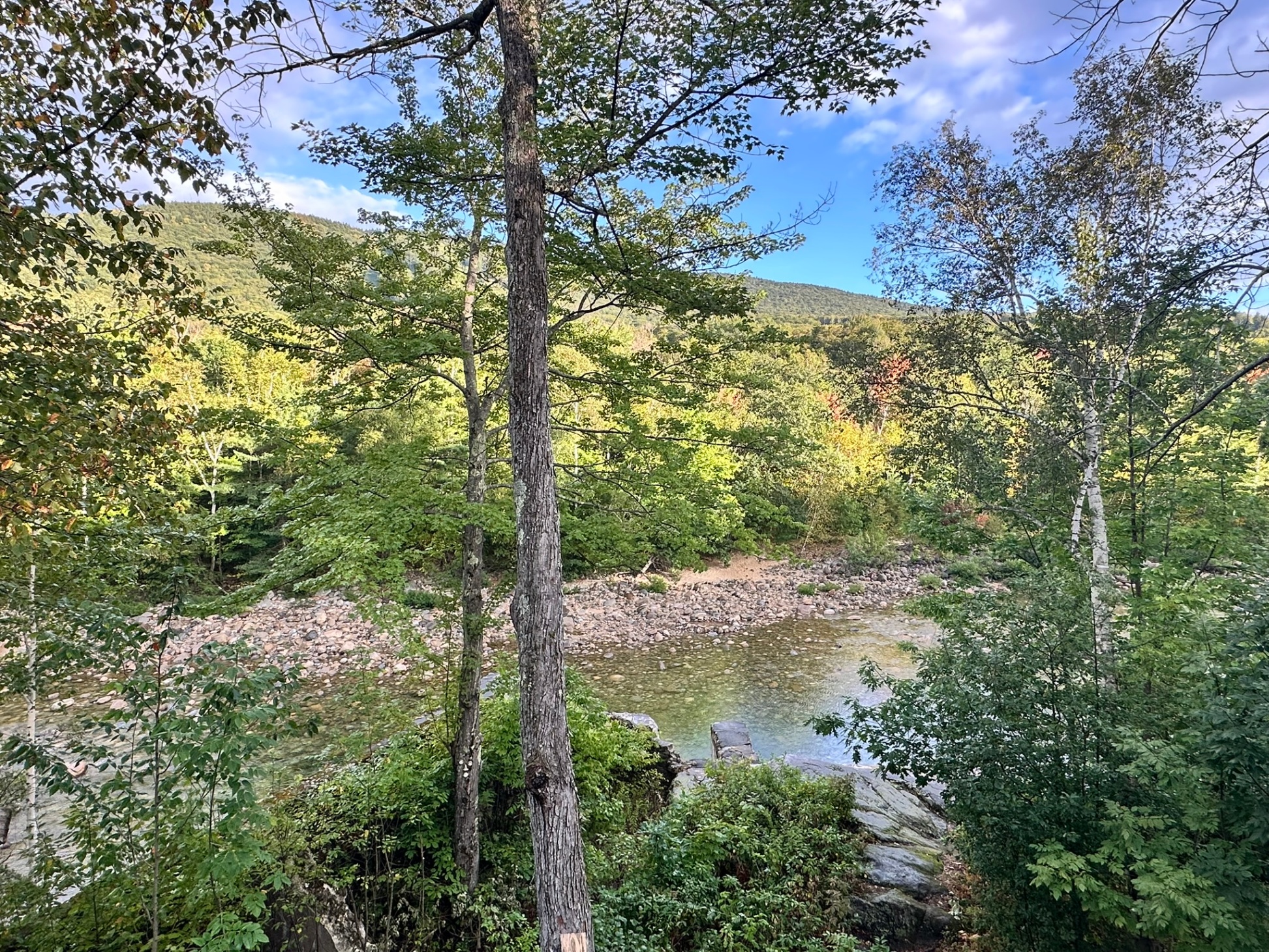 Late August view down the river from the deck