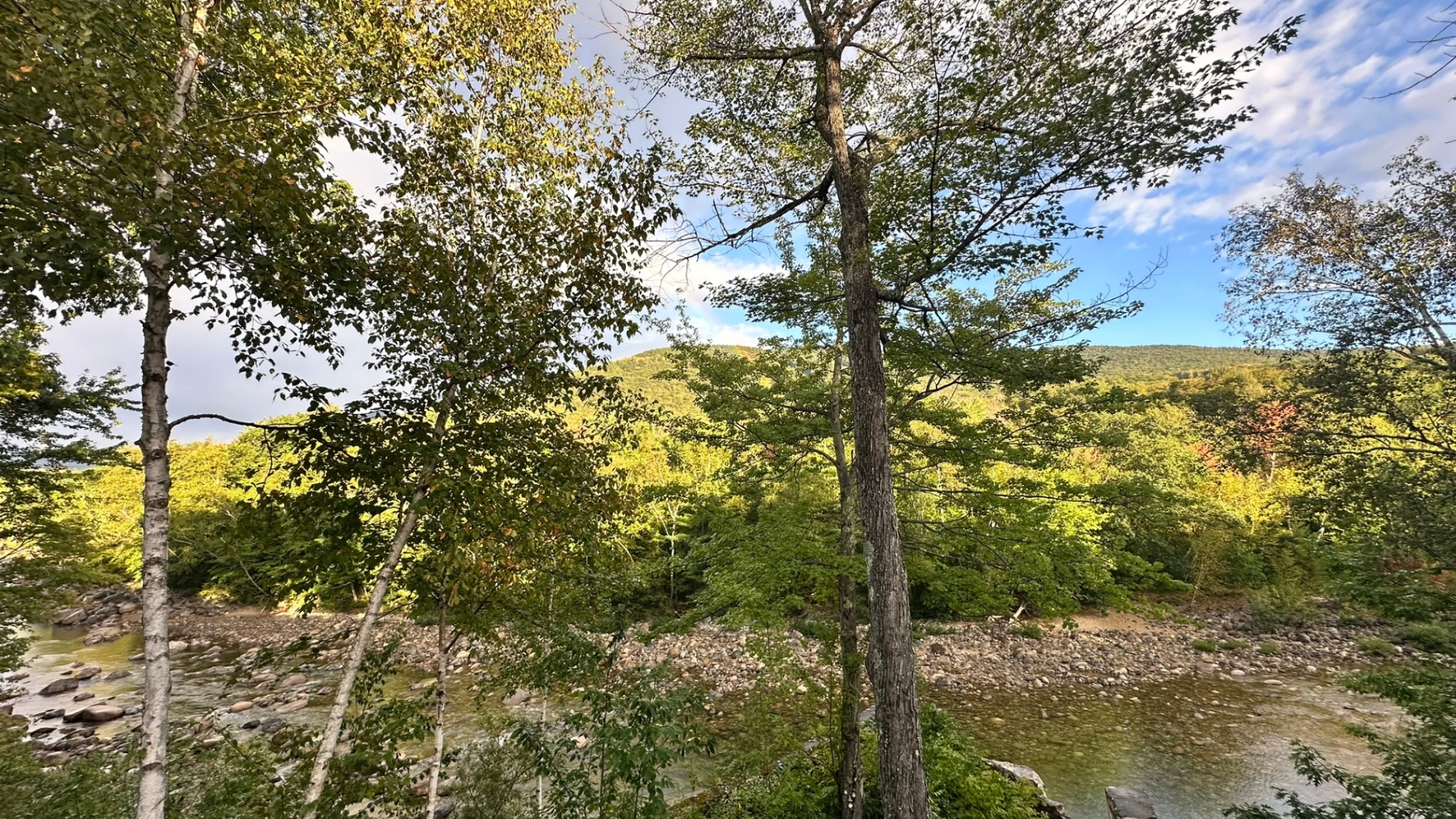 Late August view from the deck