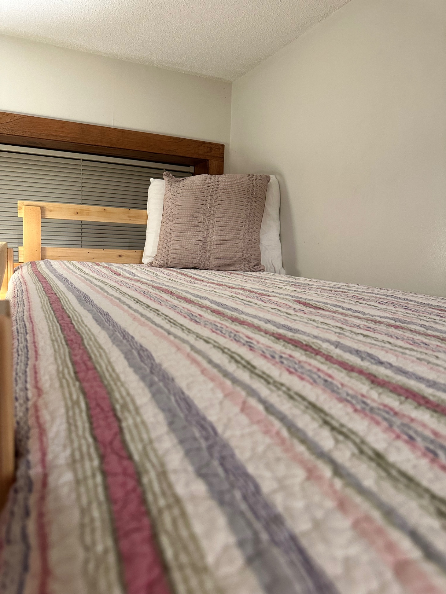 Leaf Peepers! Unite here!  - Lincoln