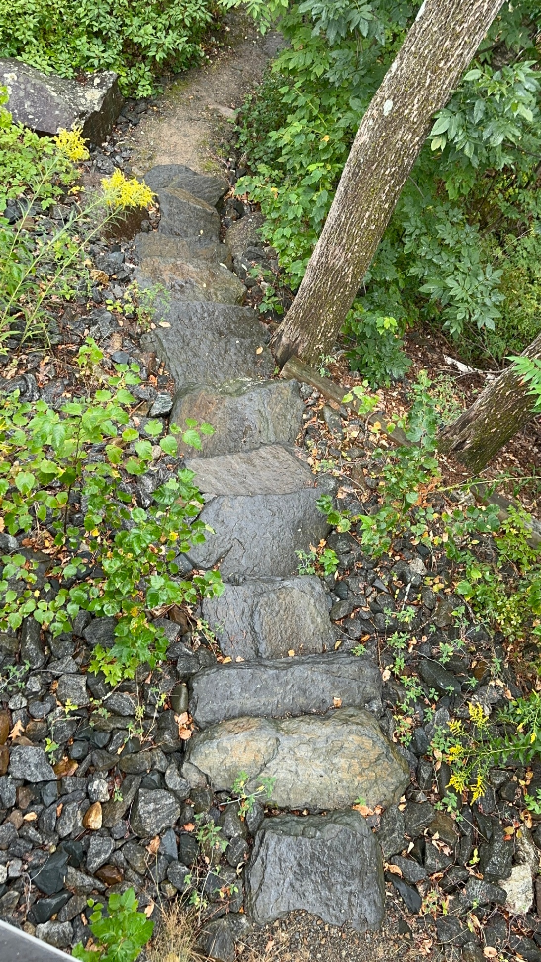 Granite steps out the back door to swim hole