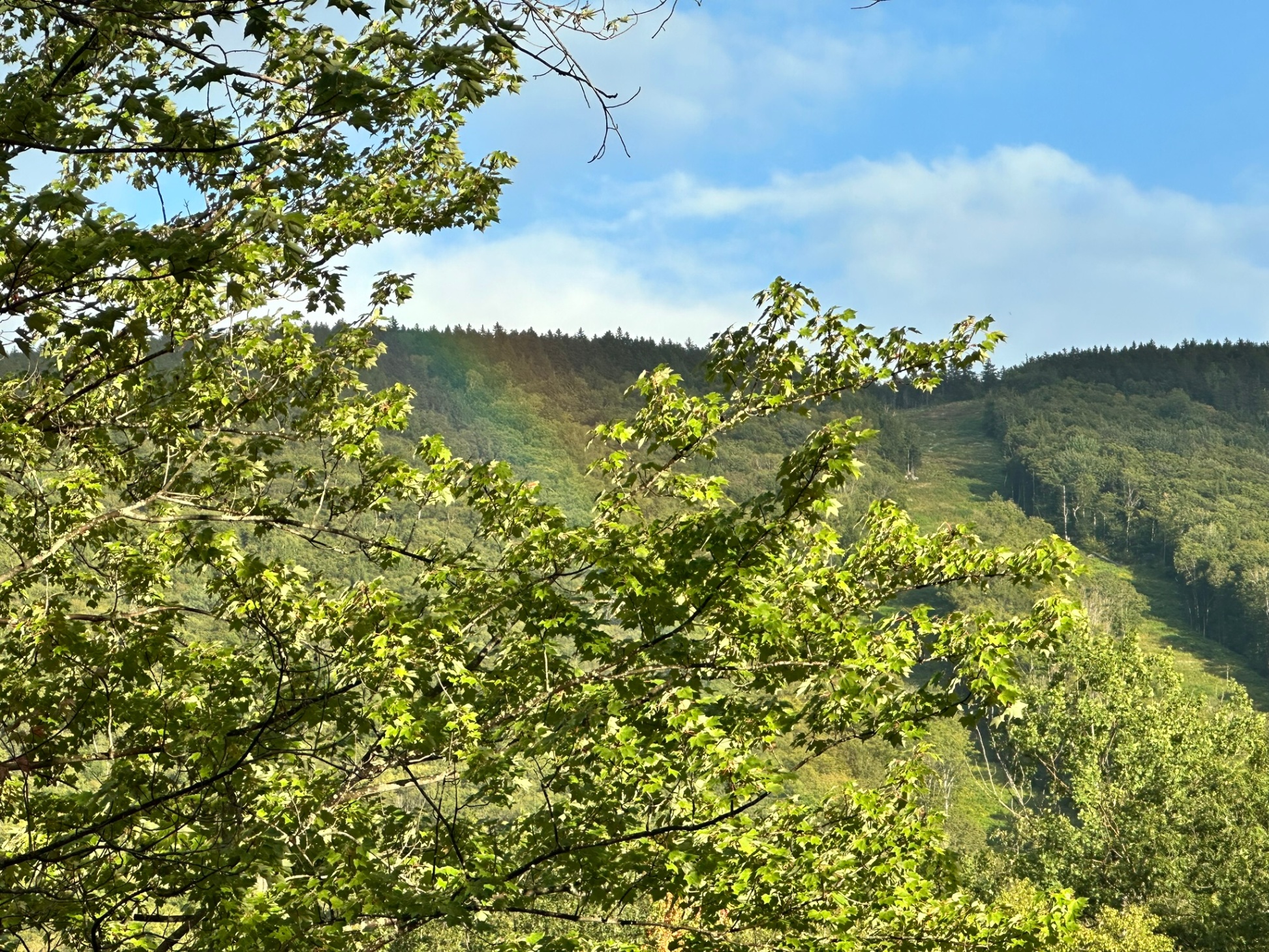 Can you spot the rainbow? It's almost like you can reach out and touch it from the deck!