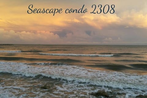 Welcome to Seascape Condo 2308! We can't wait to host you! Make our beach condo your beach condo!