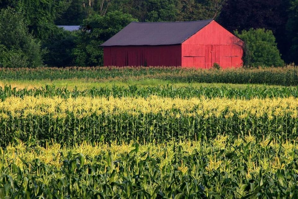 The Valley is known for our picturesque red tobacco barns and expansive cornfields.