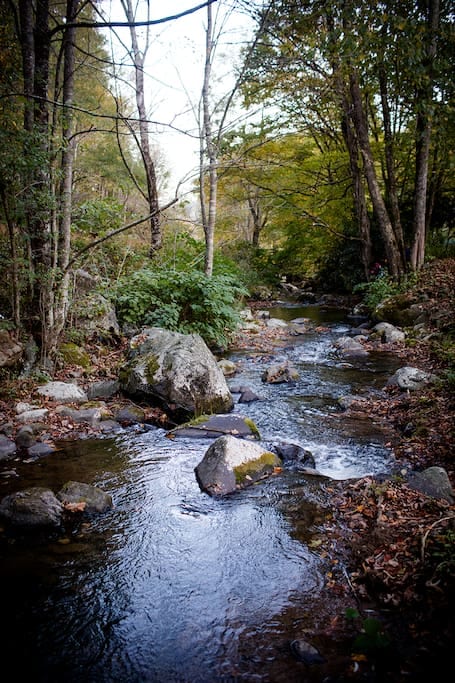 The bold creek looking downstream