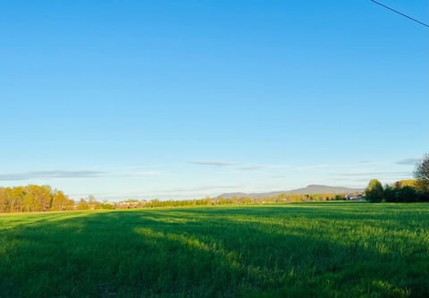 CountrySide close to Amherst, UMass and Noho!