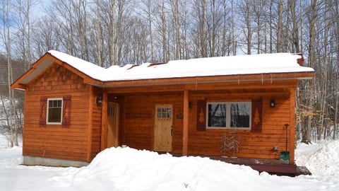 Cozy custom cabin in Bellaire, Michigan