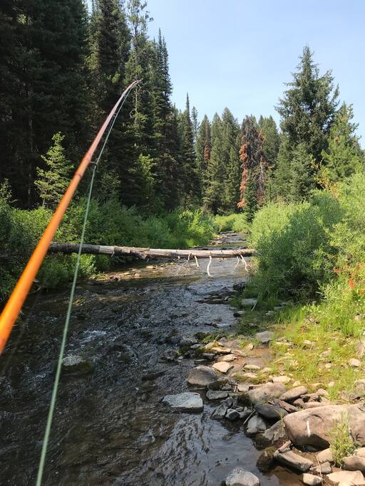 Enjoy scenic beauty as you fish. - Outdoor Adventure HQ in Stunning Natural Setting - Wayan