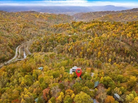 "Smoky Banjo Cabin" Epic Views & Total Privacy