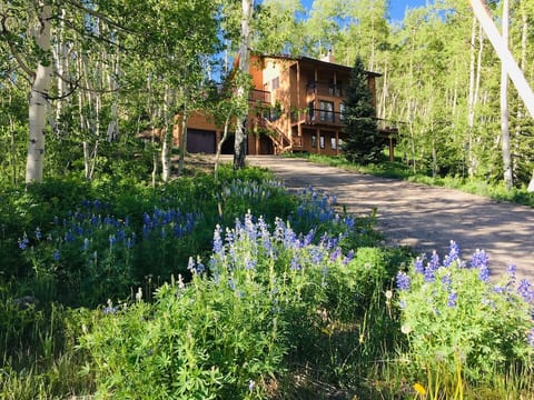 Mountain Modern During Wildflower Season