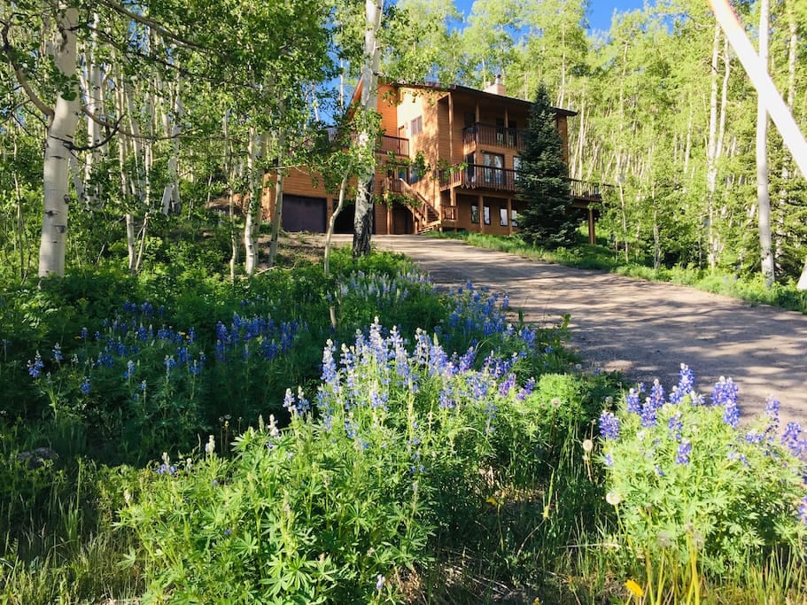 Mountain Modern During Wildflower Season