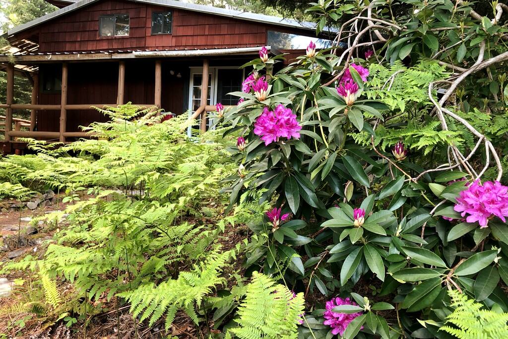 The cabin in the spring time.