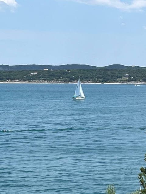 View of the sail boats from the top of the bluff. 