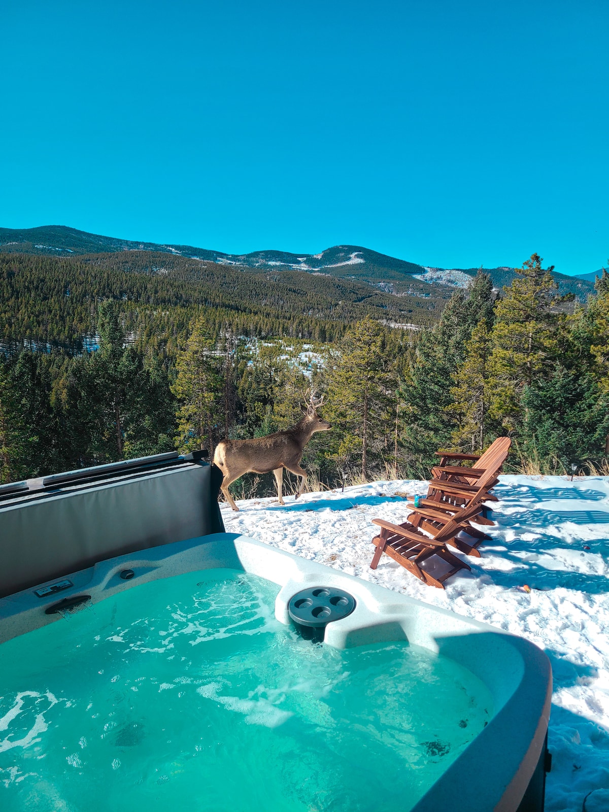 rabbit-hole-a-frame-in-the-woods/