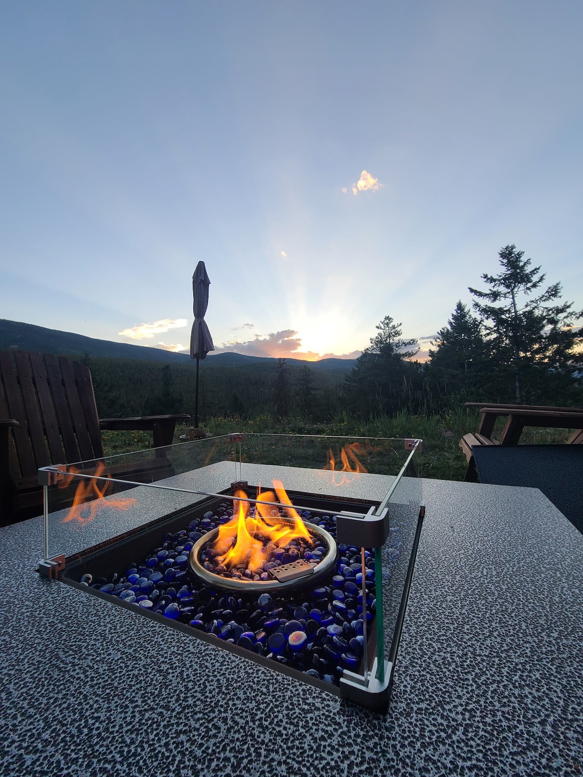 rabbit-hole-a-frame-in-the-woods/