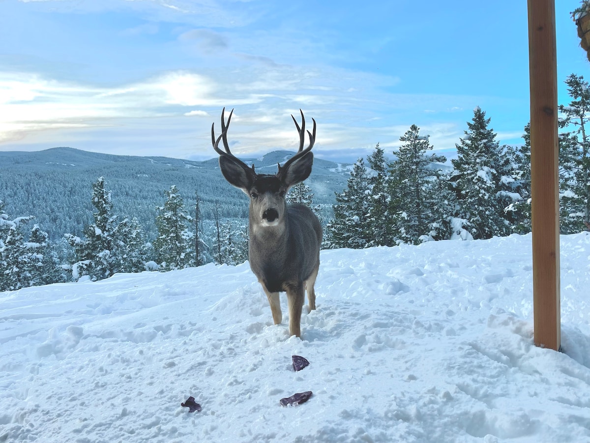 rabbit-hole-a-frame-in-the-woods/