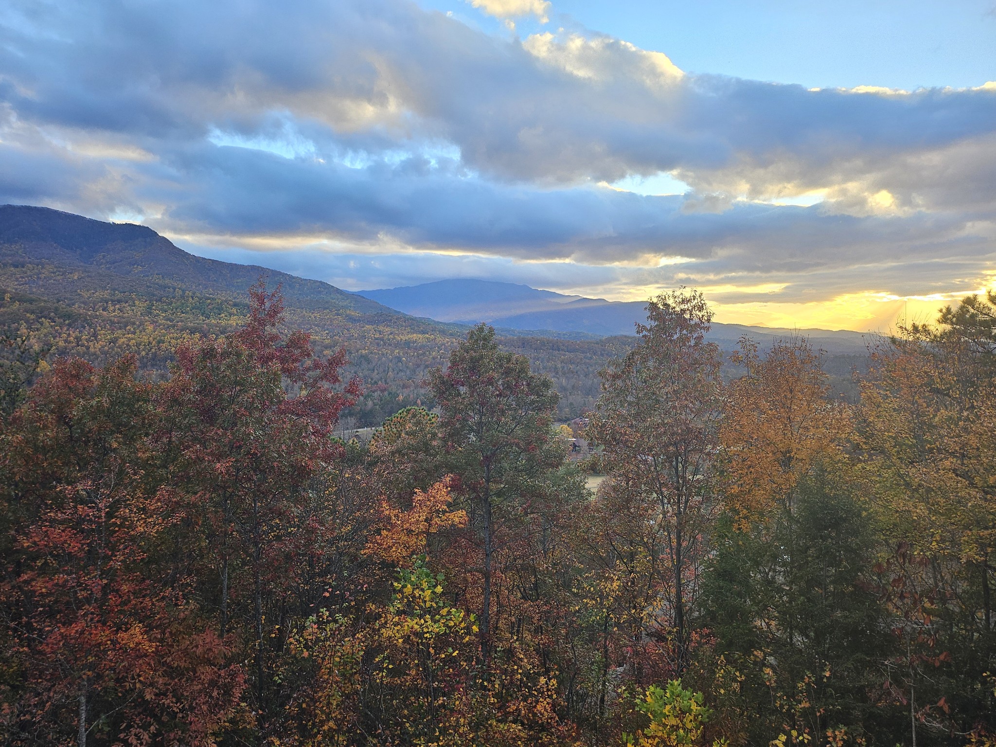 Come experience the fall leaves!