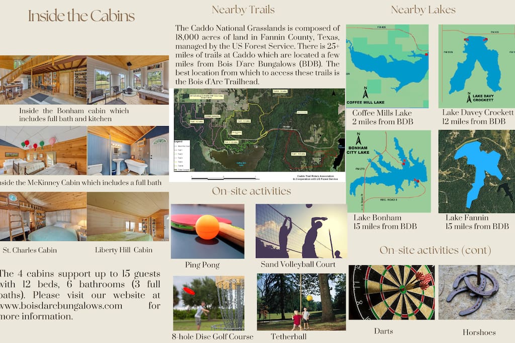 BDB Brochure