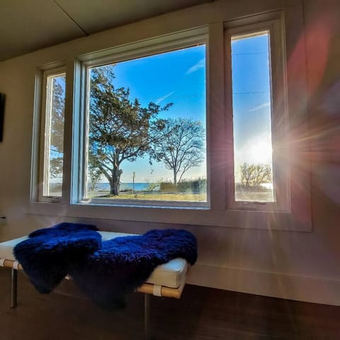 Morning Sun