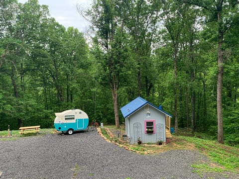 Smoky Mountain Gem!