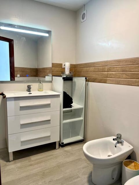 Toilet, bidet, and shower