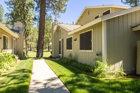 Peaceful pine-side condo walkway with lush lawn and wooded charm
