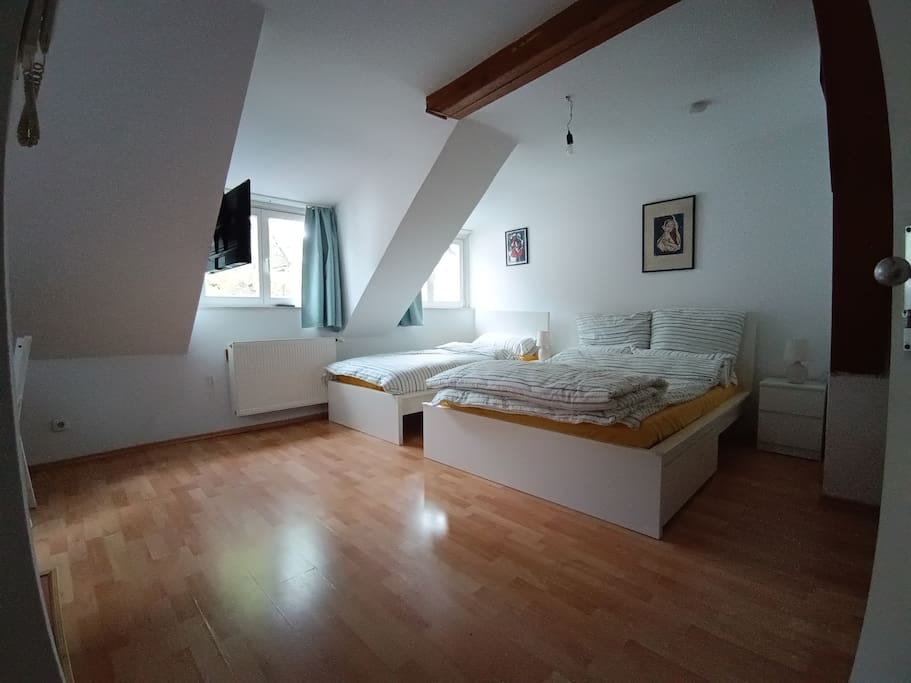 cosy old studio at Schlosspark - Wiesbaden