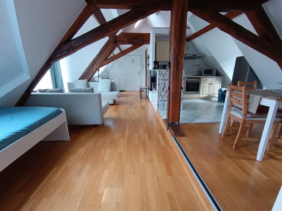 Stylish Attic Apartment at Schlosspark - Wiesbaden