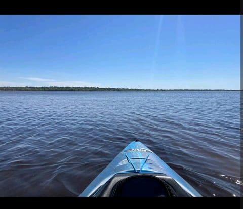 Shore Beats Work