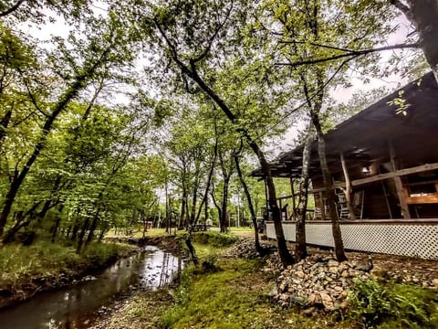 Lil' Rustic Retreat w/Hot Tub right on Jack Creek
