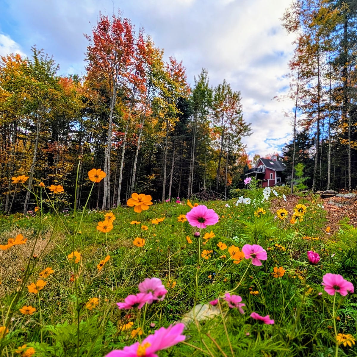 Seasonal gardens surround the property, adding a little color to your morning coffee or evening stroll.