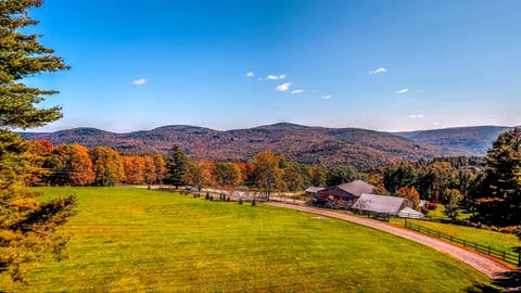 Our fall view