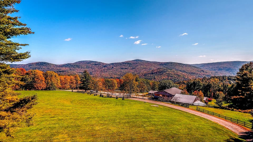 Our fall view