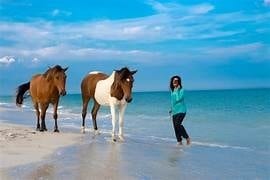 Assateague Island