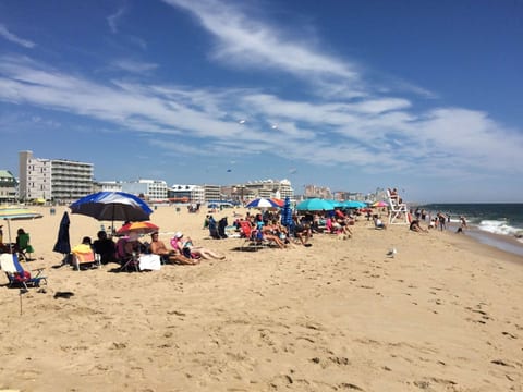 Relaxing on the OC beach.