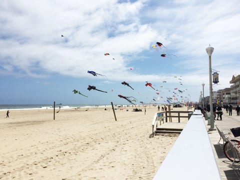 Kites flying on the beach outside the Kite Loft located on the OC Boardwalk.