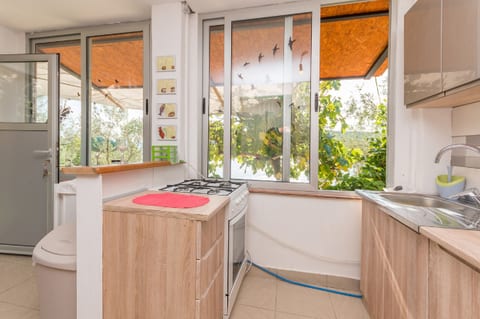House Lady Anna - Unit 203149-5