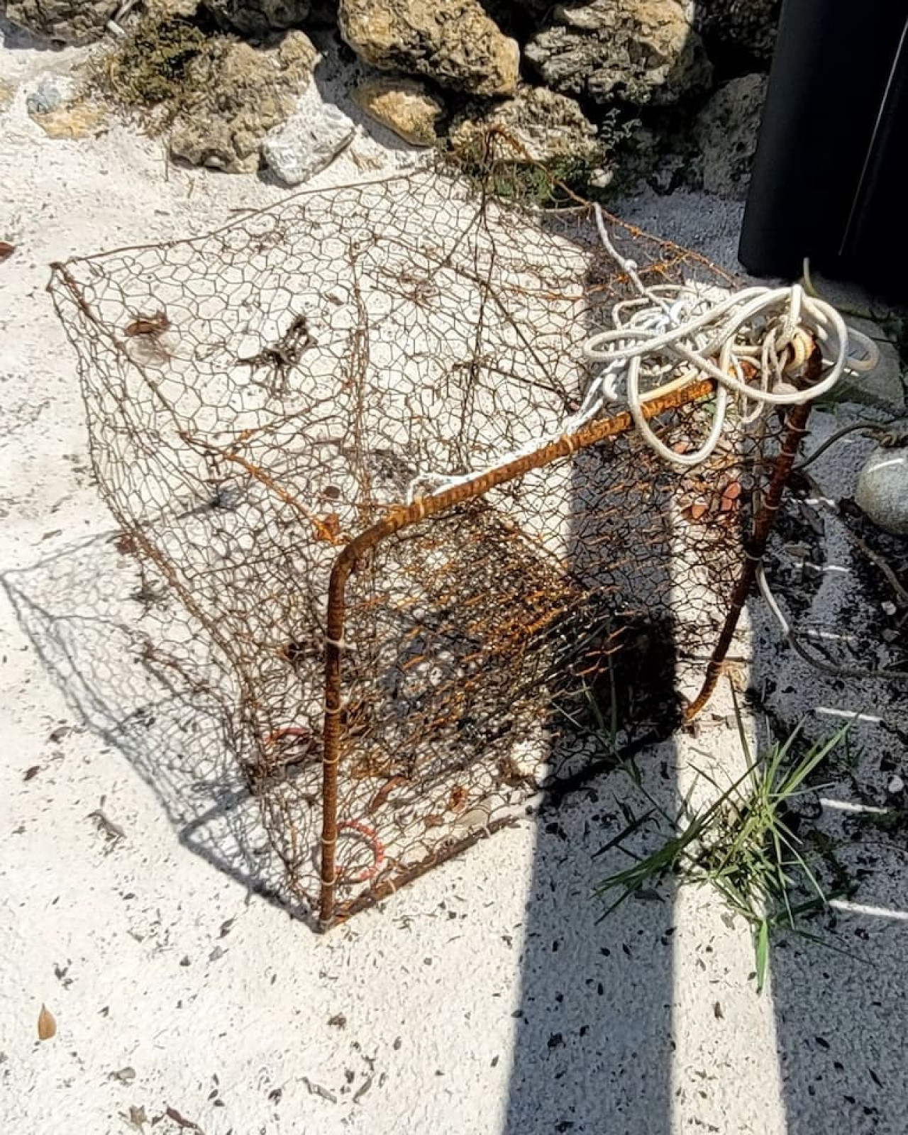 World Class Fishing Beach Retreat w/Heated Pool, Private Beach, Kayaks & Professional Fishing Dock - Port Charlotte