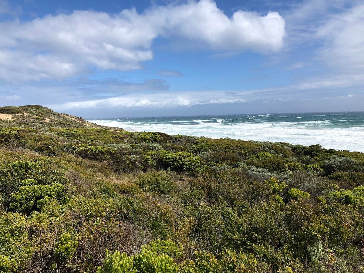 Wild dunes and heathland in the Cape Paterson Coastal Reserve - 10 min walk from the Eco Beach House.