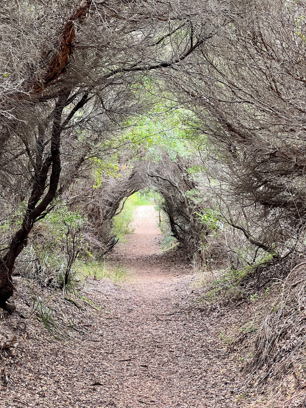 Path between First and Second Surf beaches